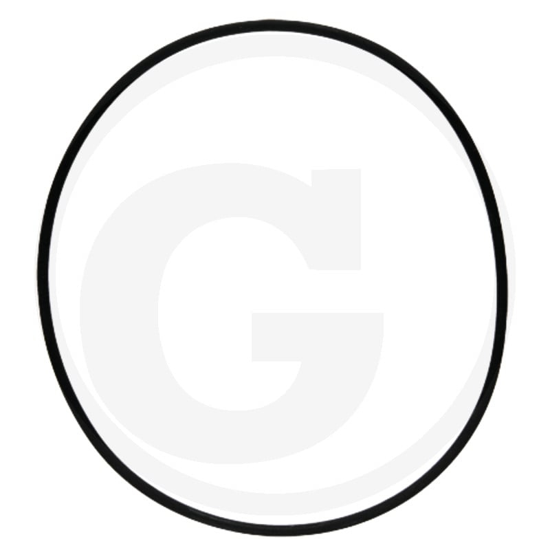 O-Ring Epdm 101,3x