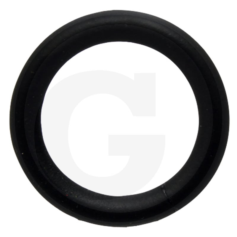 Dichtring