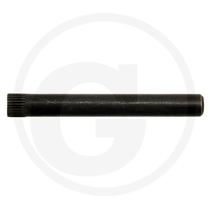 Führungsstift