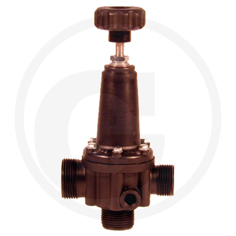 Druckbegrenzungsventil1 1/4'' 20 bar