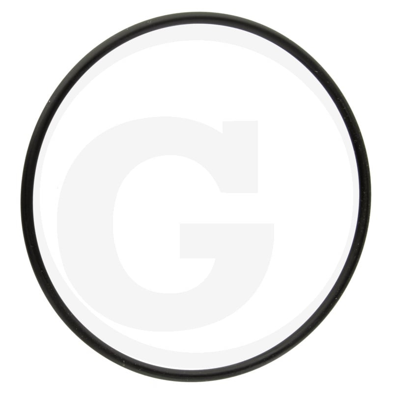 O-Ring