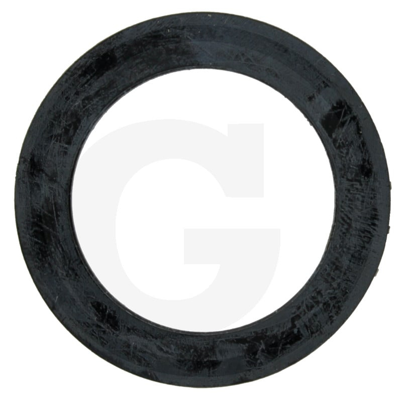 Dichtring
