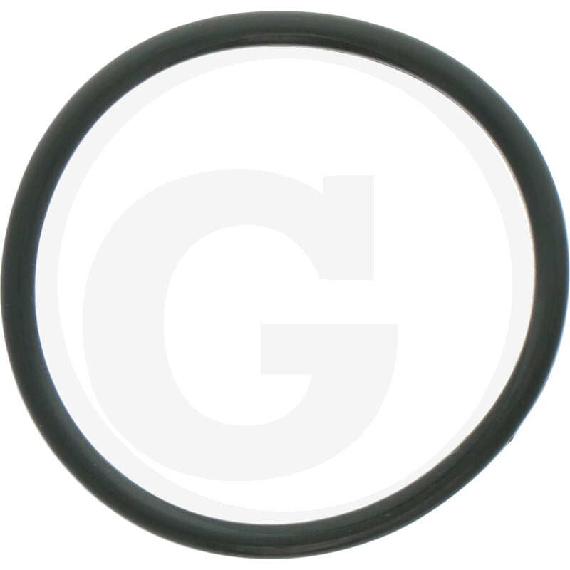 O-Ring 2,62x34,6