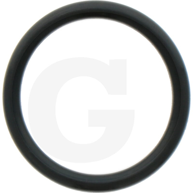 O-Ring 3,53x28,17