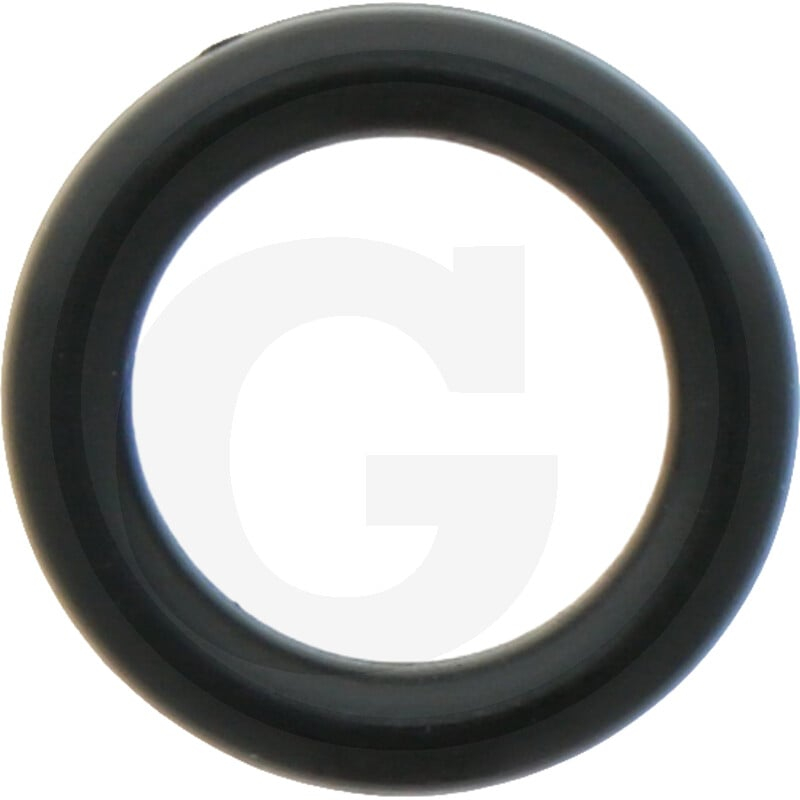 O-Ring 2,62X 9,92
