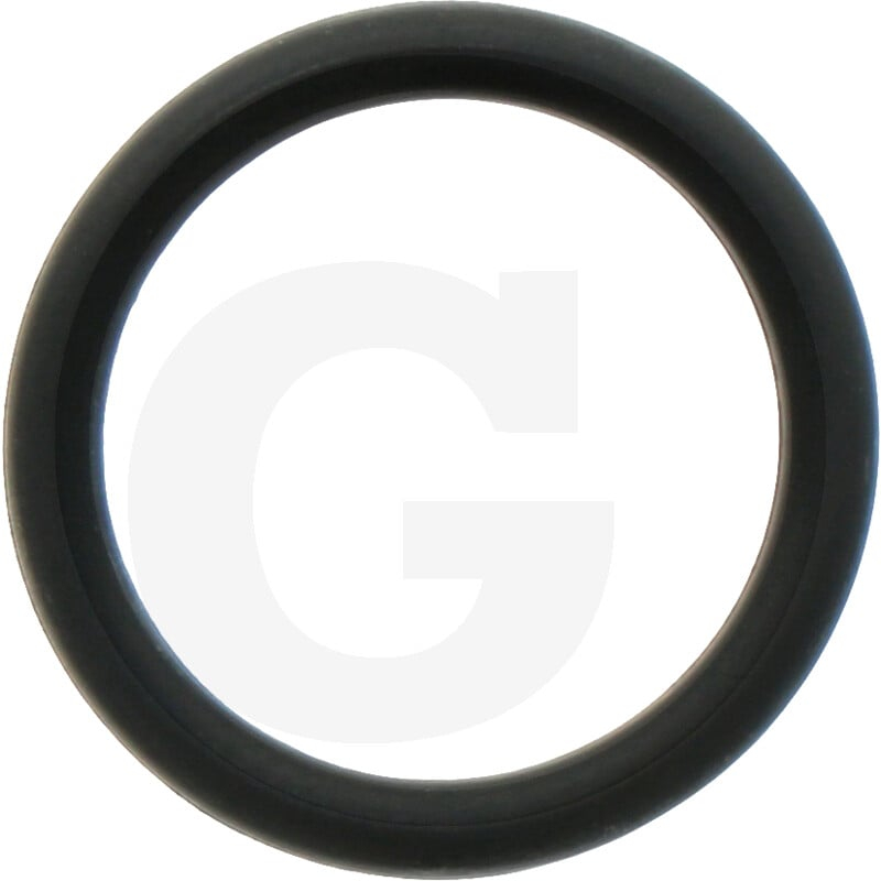 O-RING 2,62X 17,13