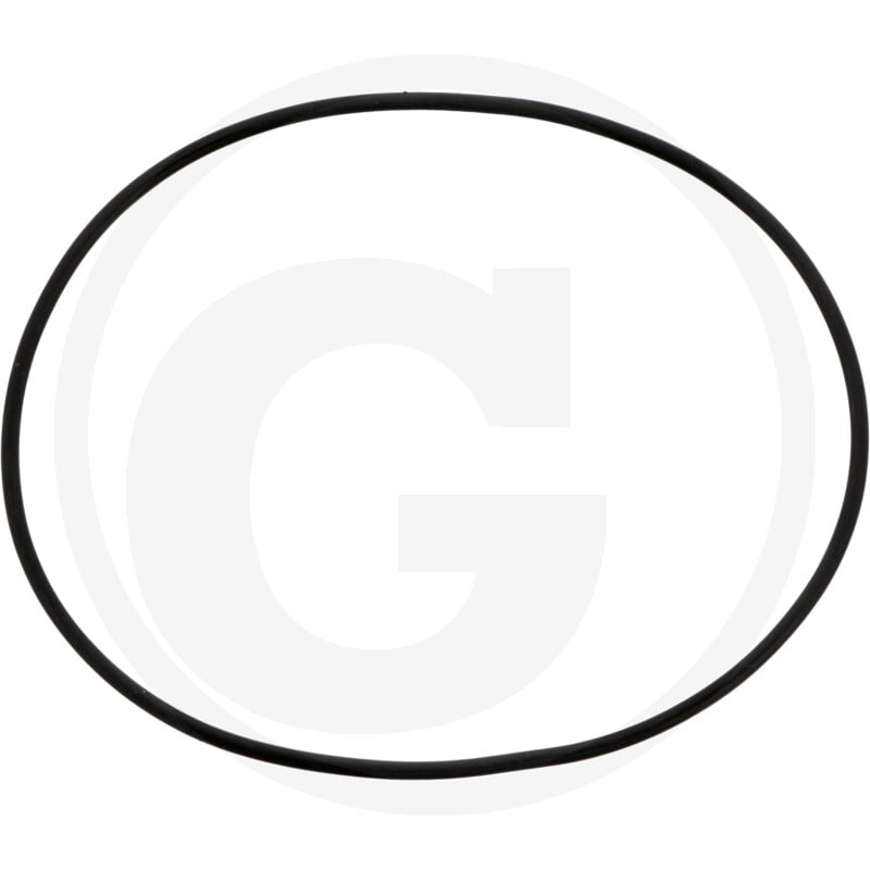 O-Ring 2,62x101,27