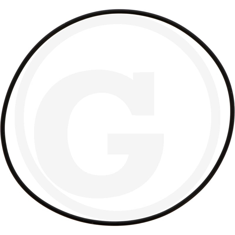 O-Ring