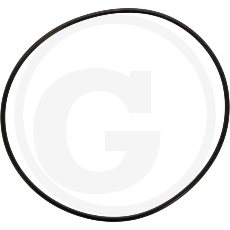 O-Ring