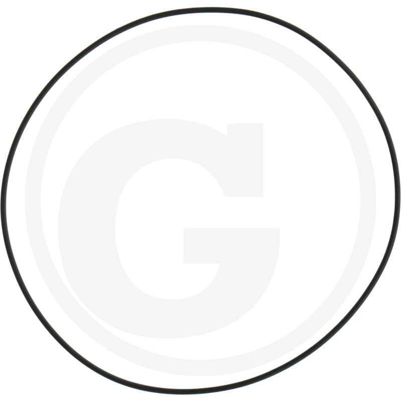 O-Ring