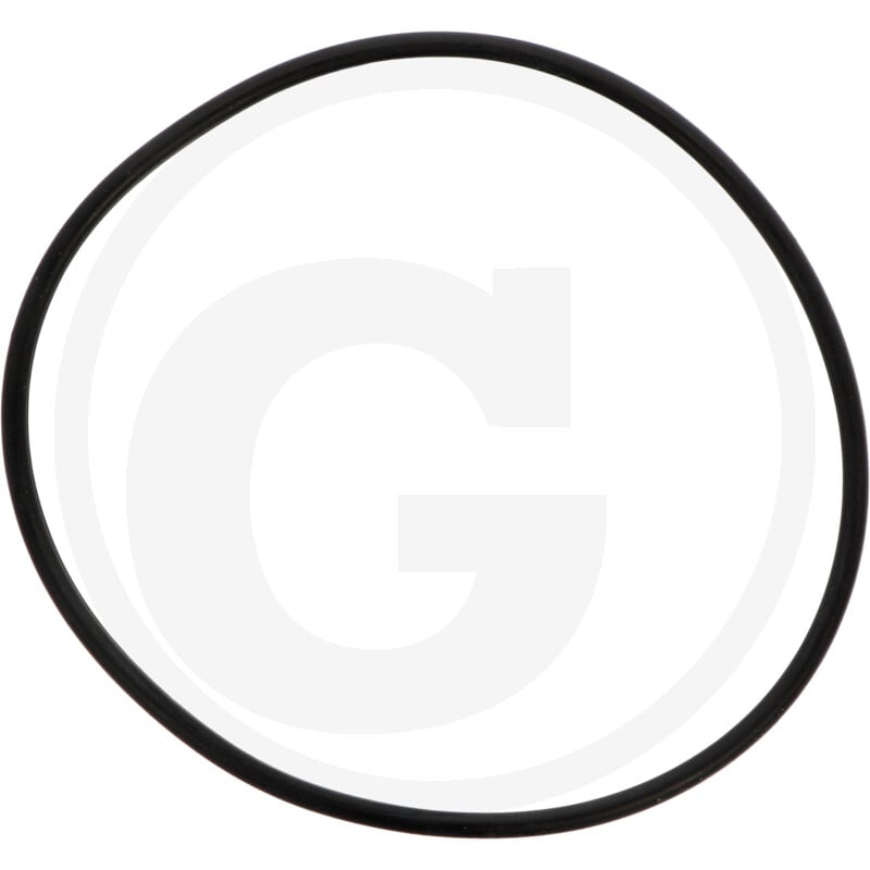 O-Ring 2,62X 75,87