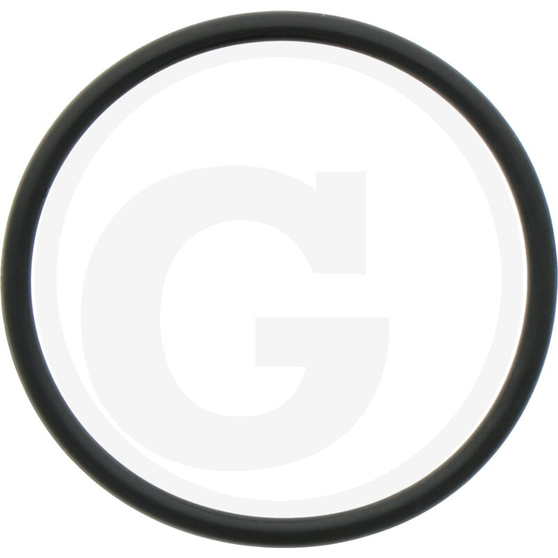 O-Ring pas.f.Filtergehäuse M146