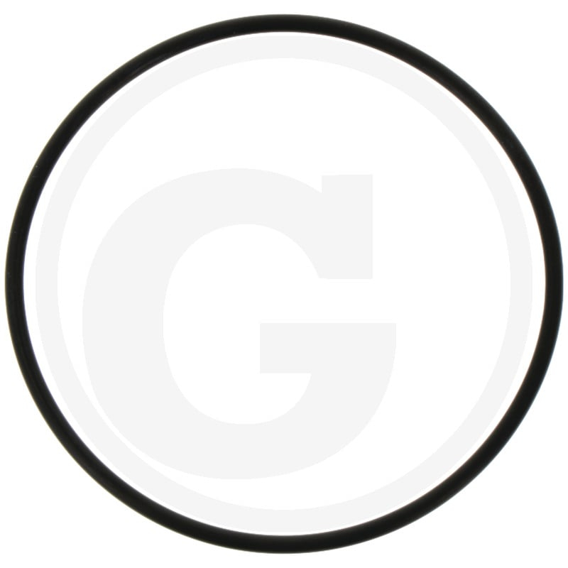 O-Ring 71x2.6 F. Filtereinsatz