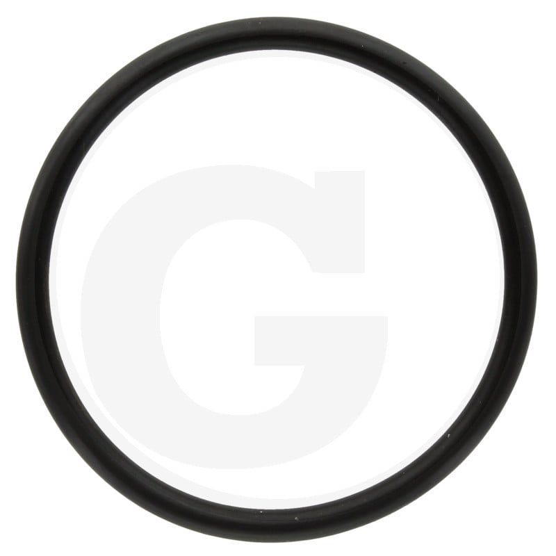 O-Ring 47,22x3,53