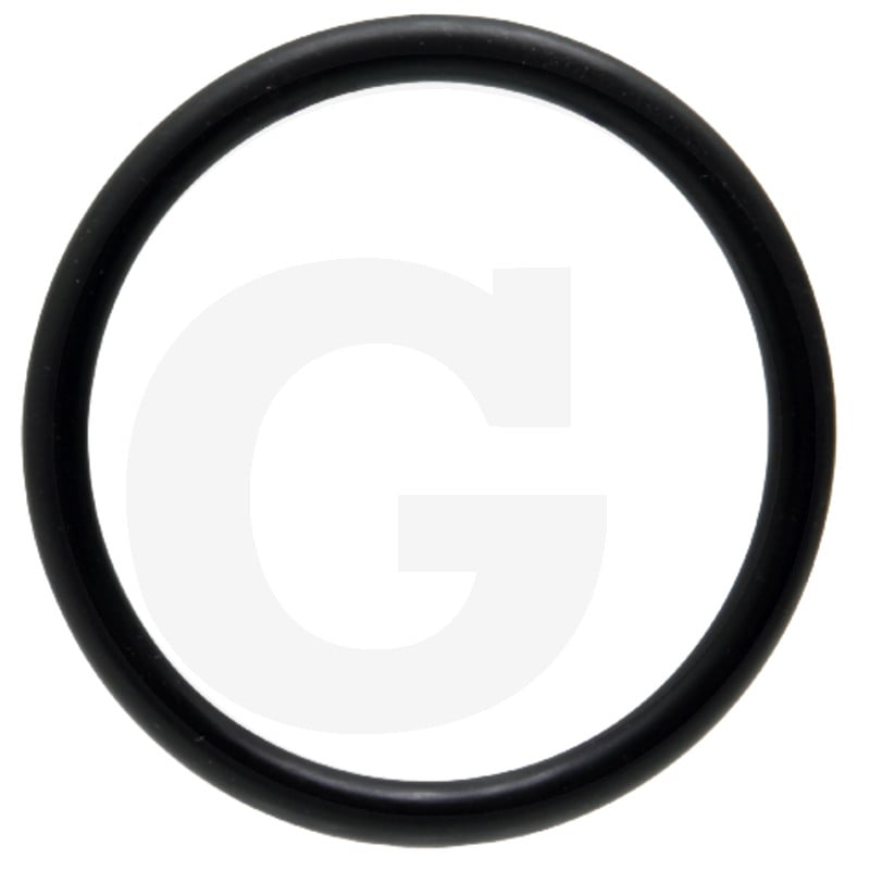 O-Ring