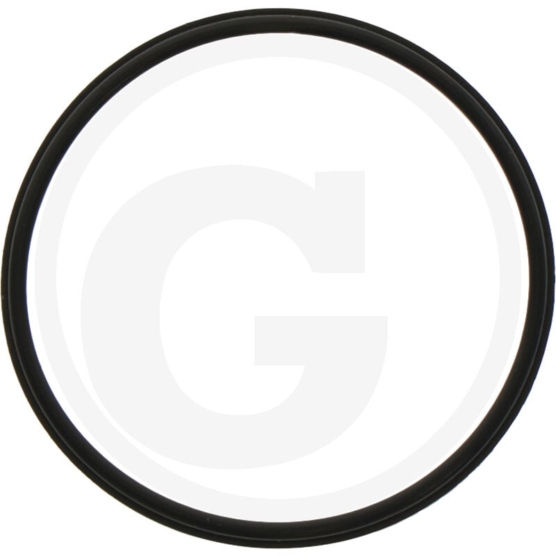 Dichtring Sech TD340