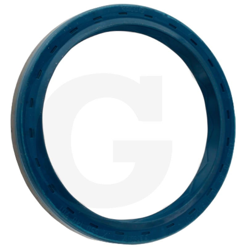 Dichtring