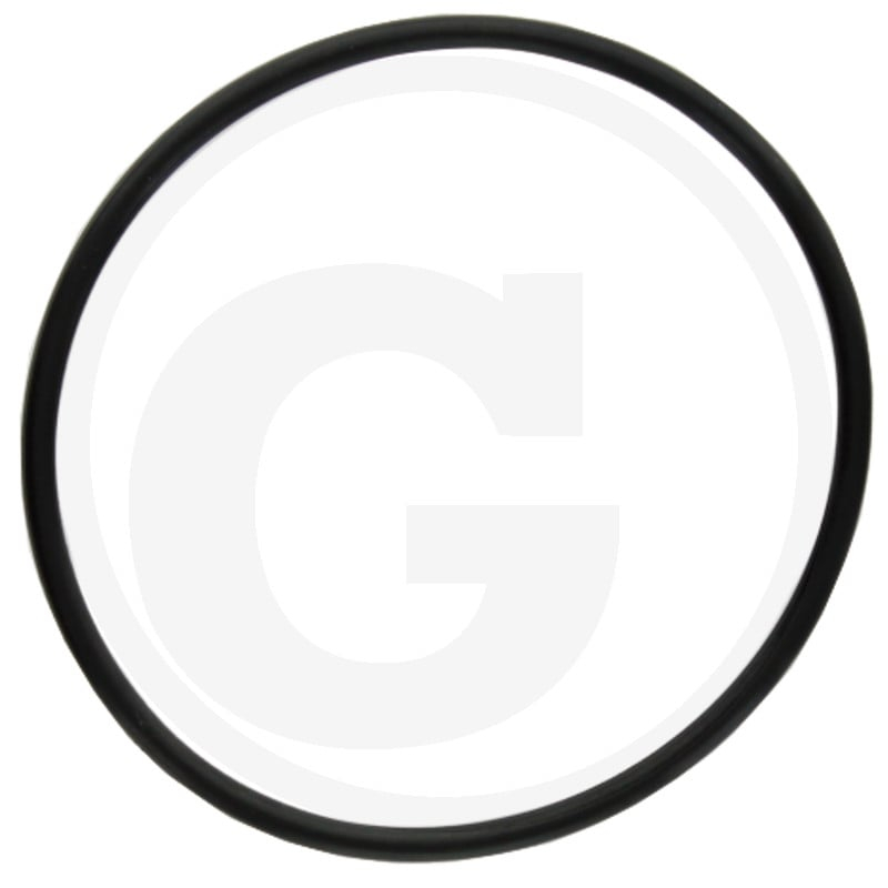 O-RING