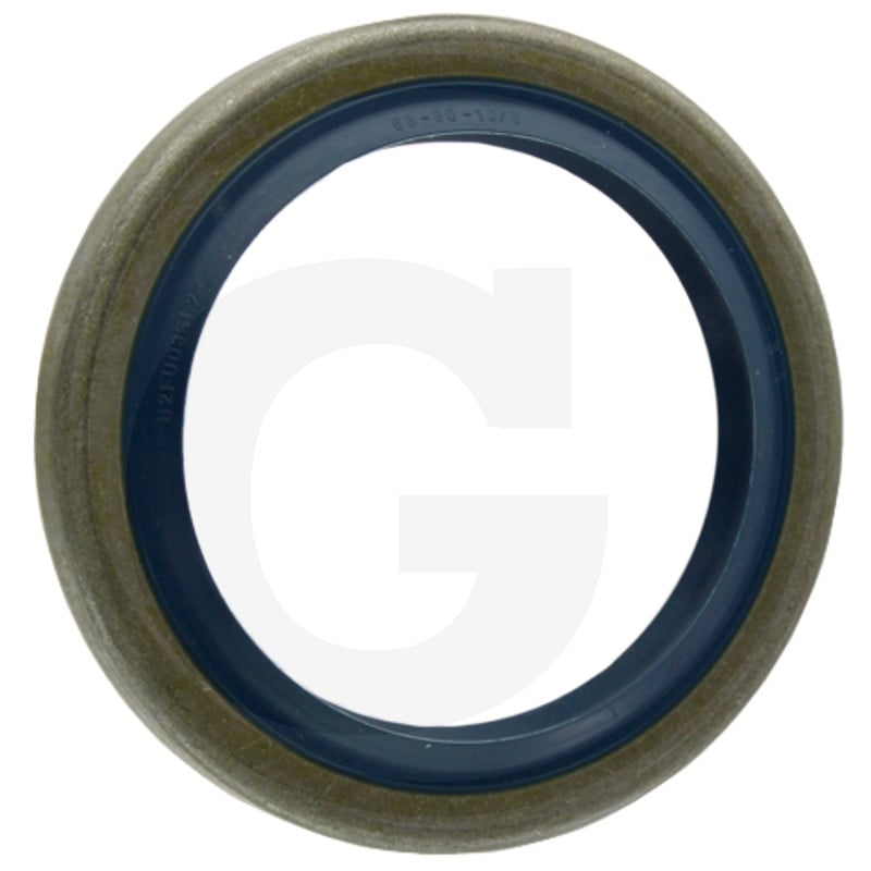Dichtring