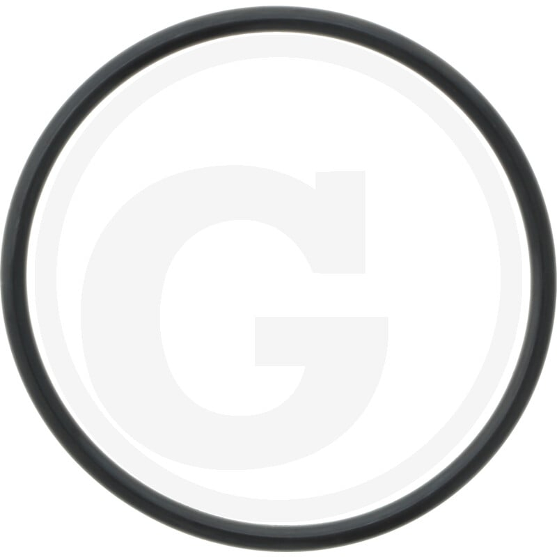 O-Ring
