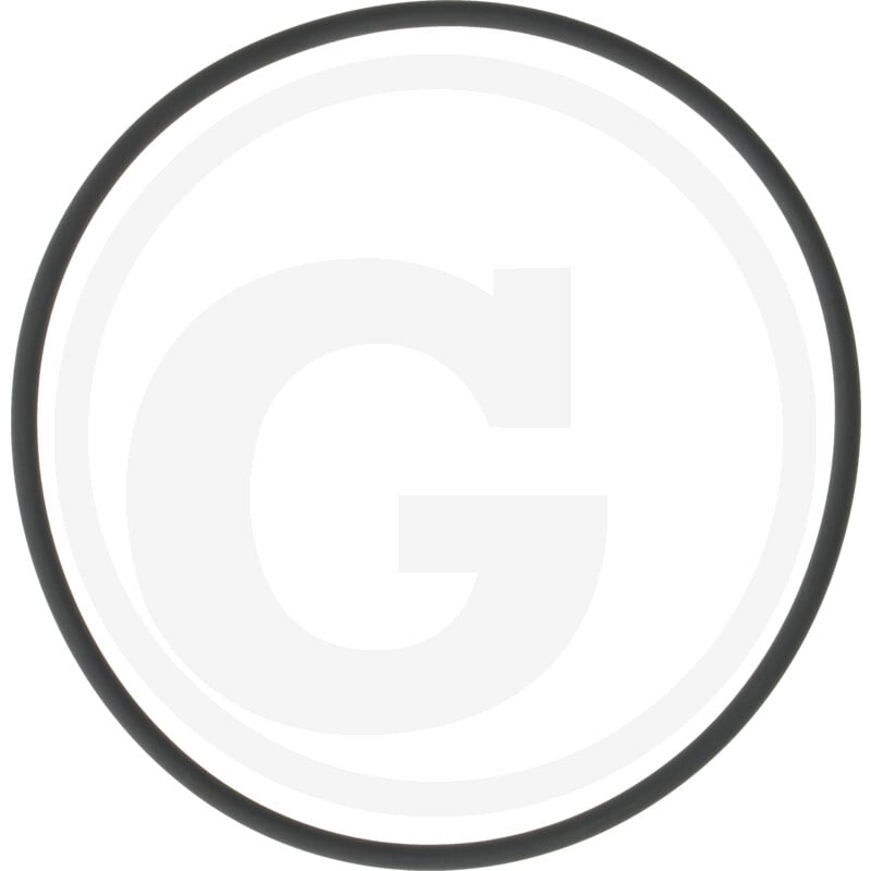 O-Ring