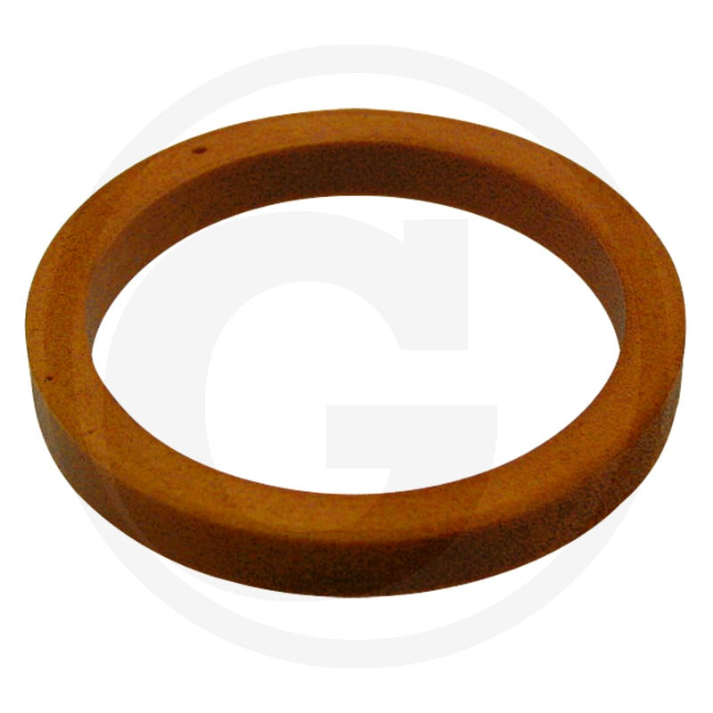 Schutzring