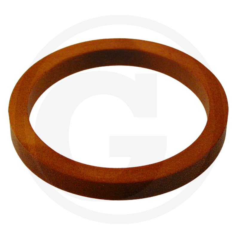 Schutzring