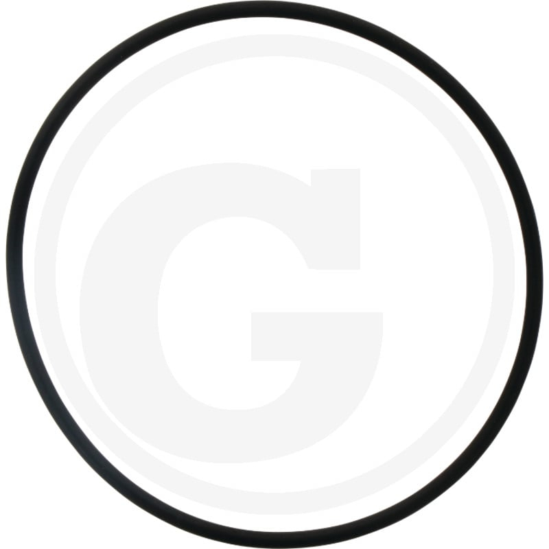 Dichtring