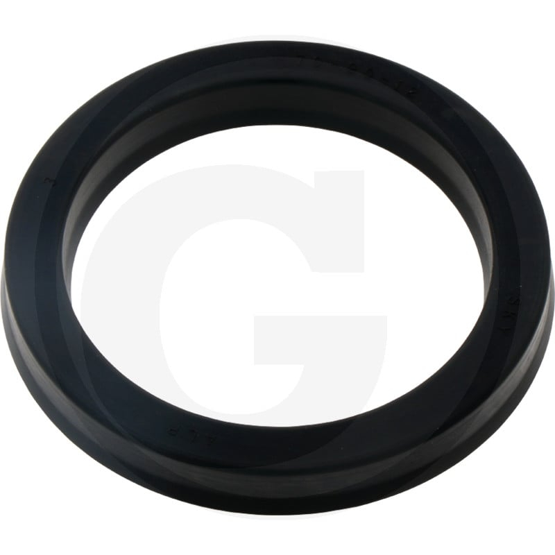 Dichtring