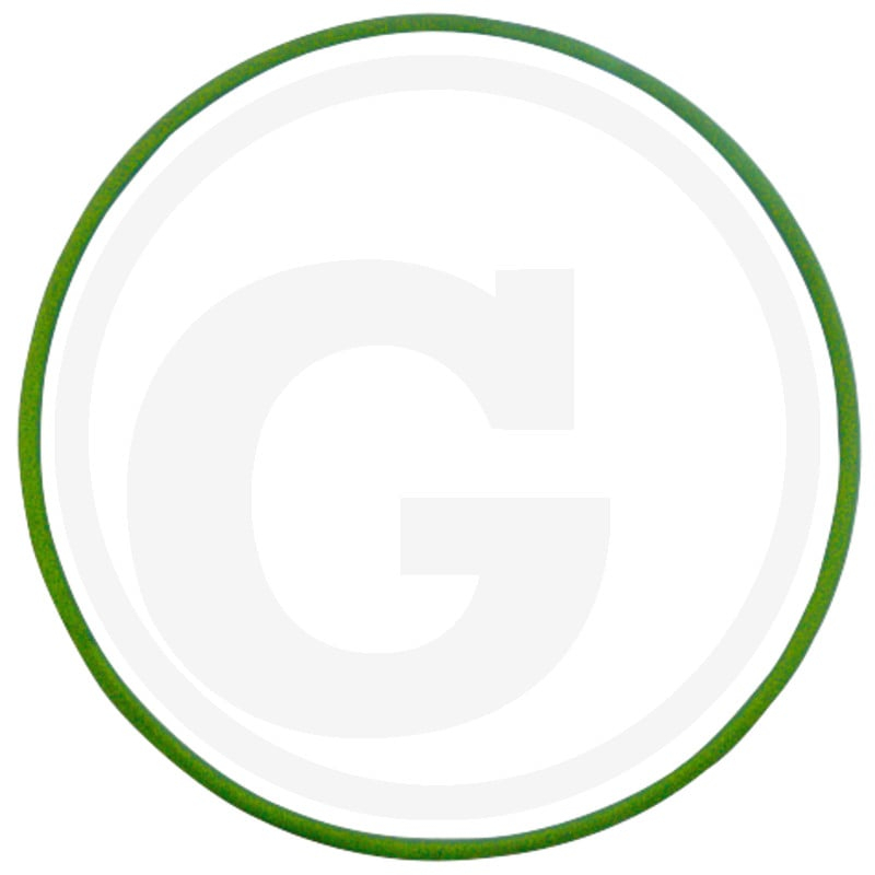 Dichtring