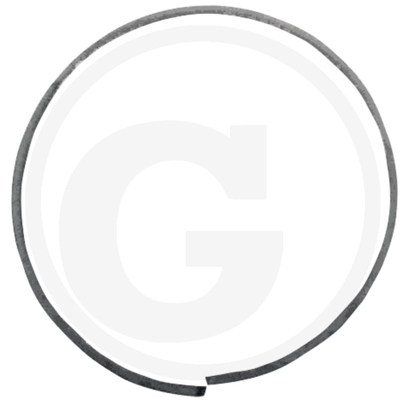 Dichtring