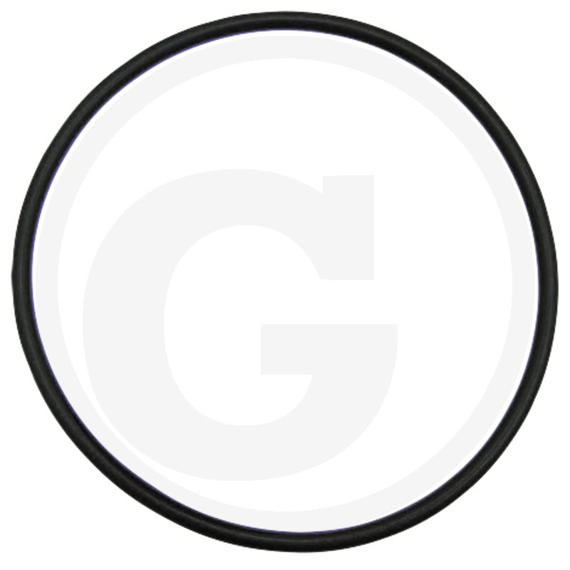 Dichtring