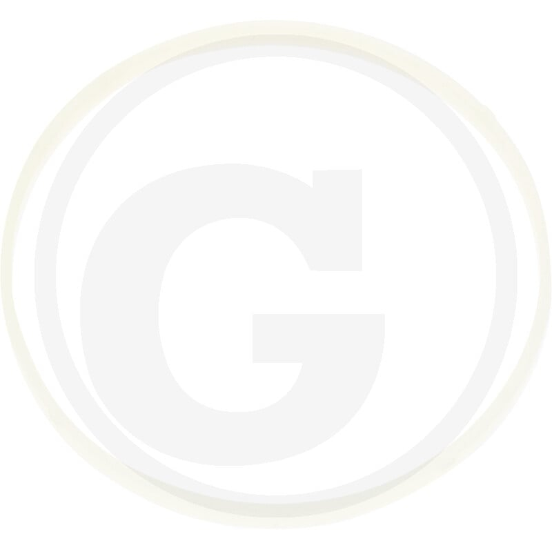 Distanzring