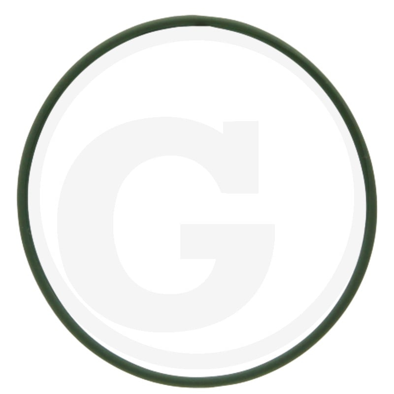 O-Ring