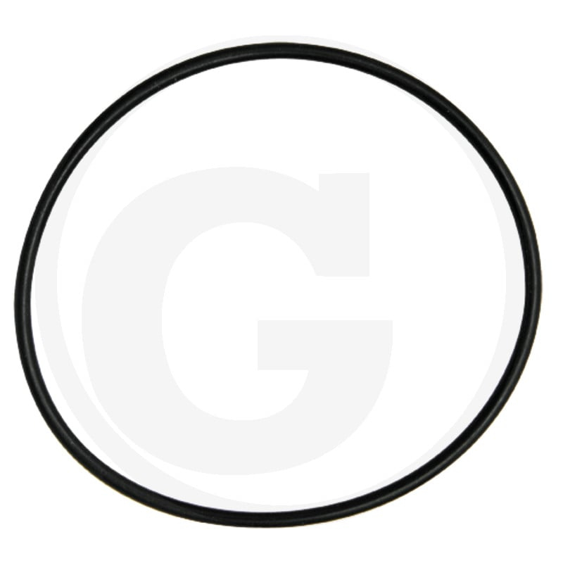 O-Ring