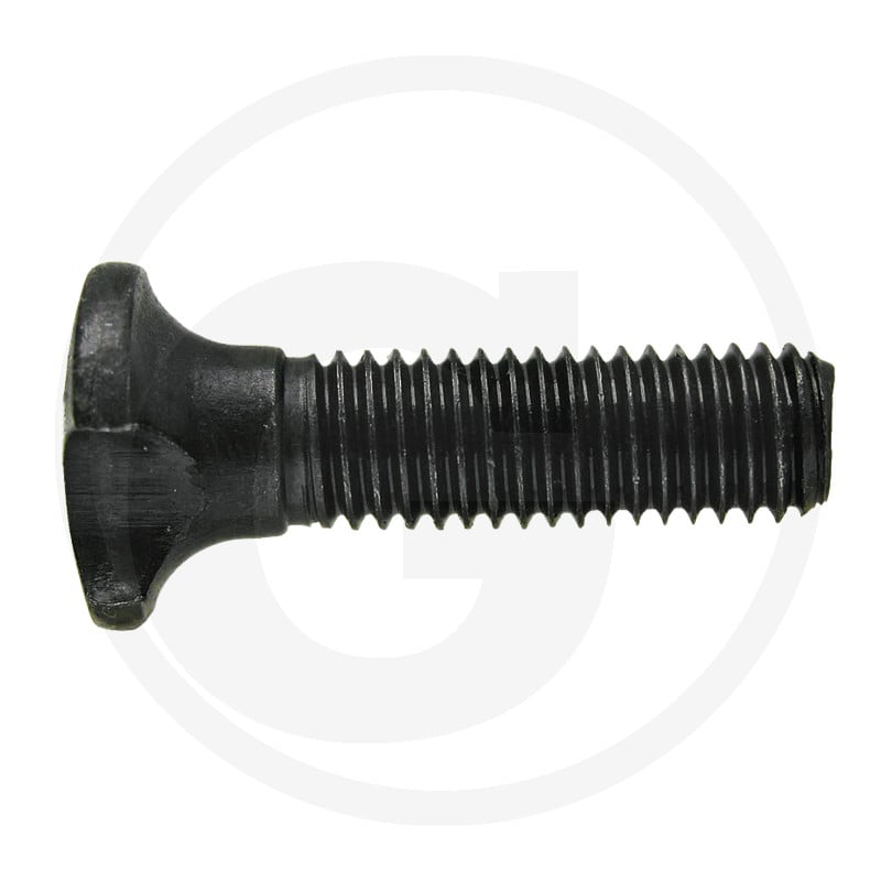 Kettenschraube M10x38-8.8