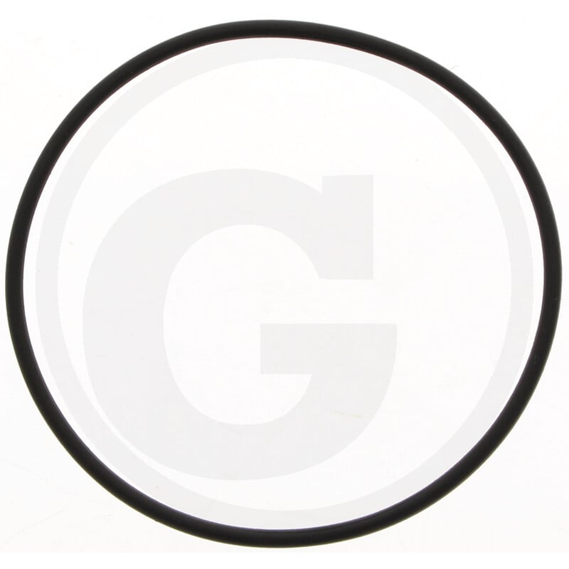 Dichtung Y-Druckfilter 2''