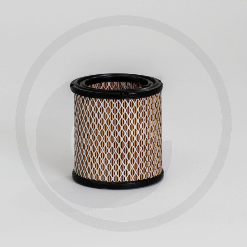 Luftfilter P606278