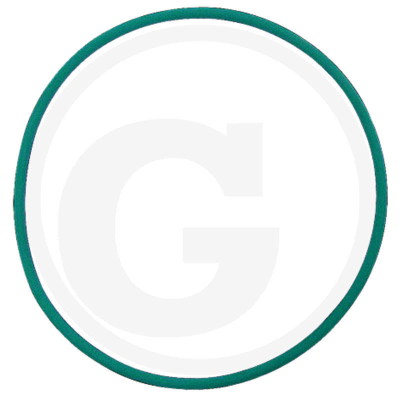 O-Ring