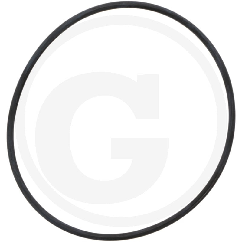 O-Ring 240,9x3,53 8''