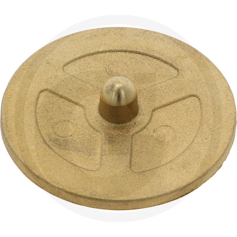 Scheibe mit Bolzen 2 1/2''