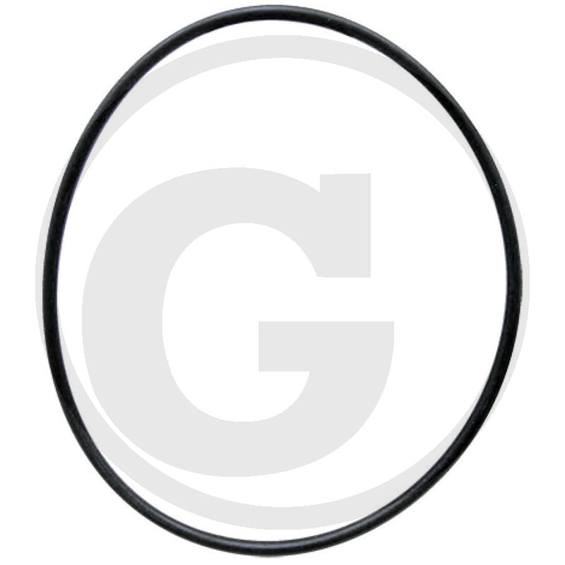 O-Ring 10''