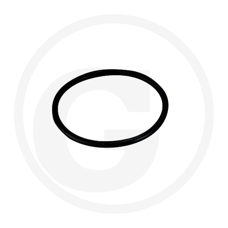 O-Ring ? 240,7 x 7