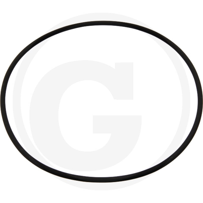 O-Ring 6'',(?i171,05 3,53)