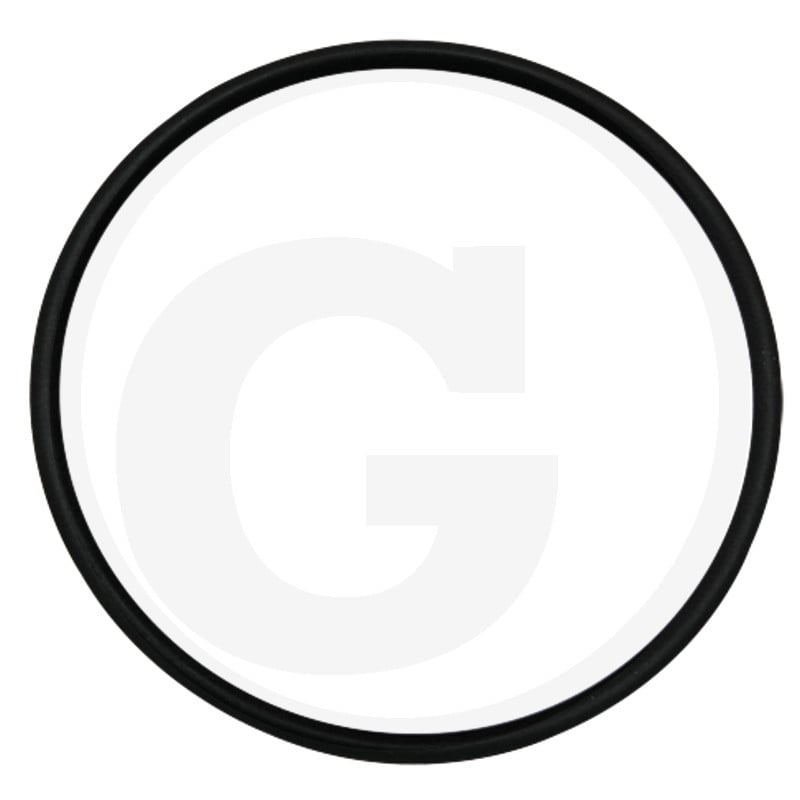 Dichtring