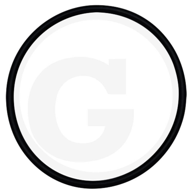 O-Ring