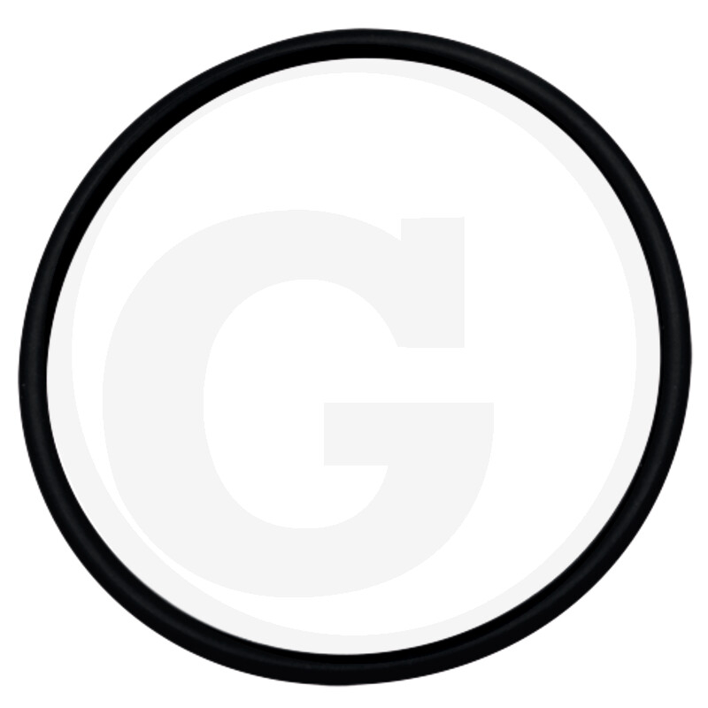 O-RING