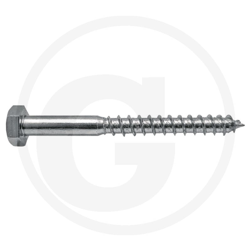 VPE50 DIN 571 M12x60 VZ Schraube