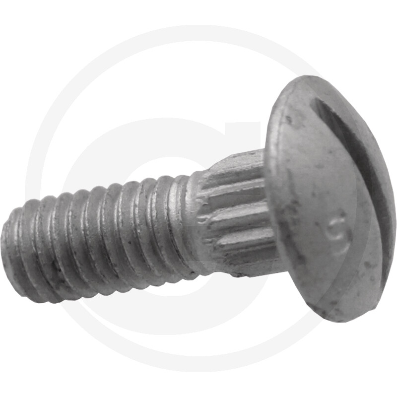 Schraube
