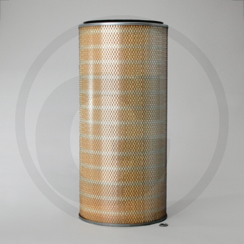 Luftfilter P042343